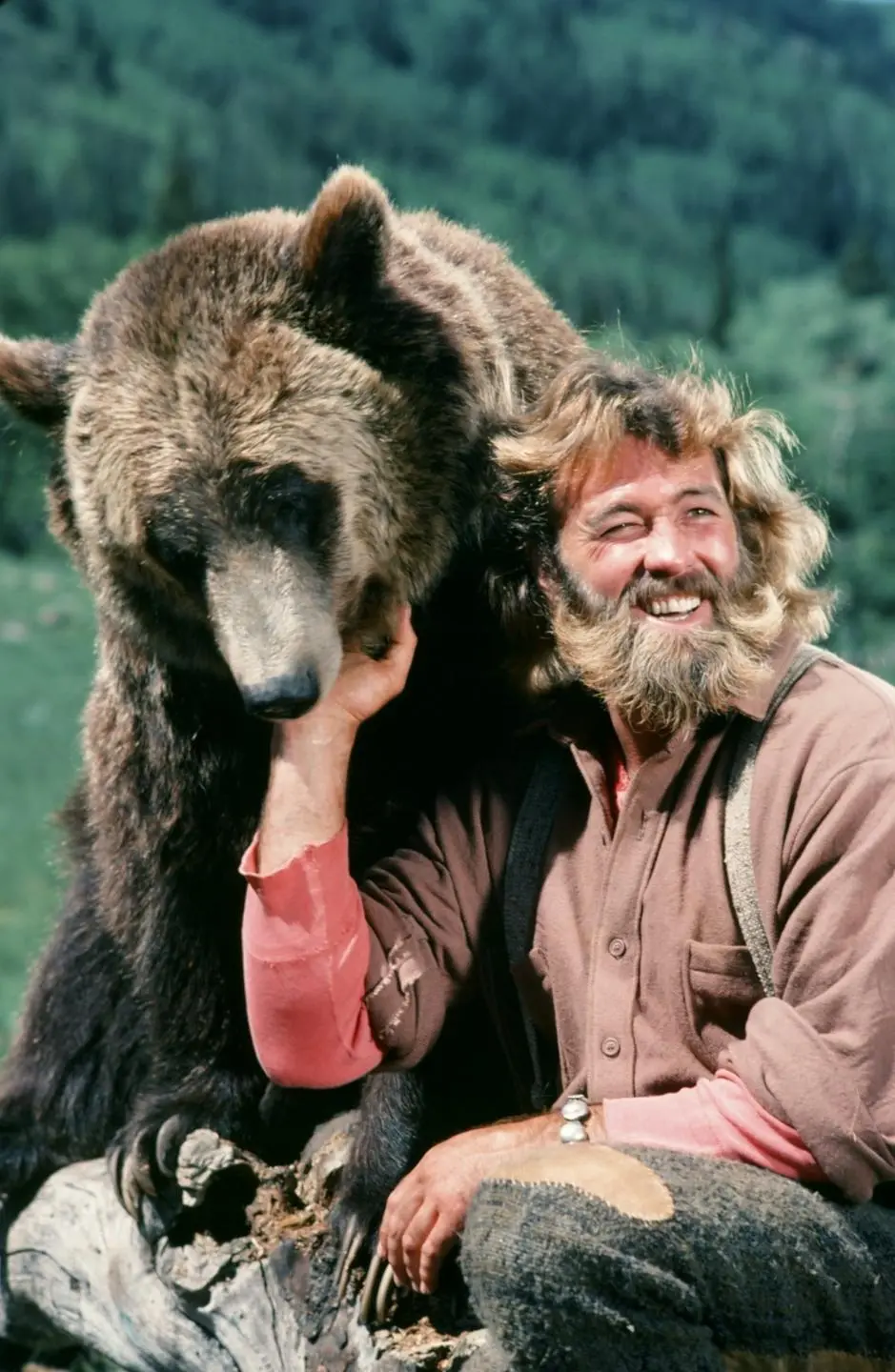 Bozo the Bear