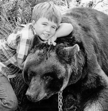 Gentle Ben
