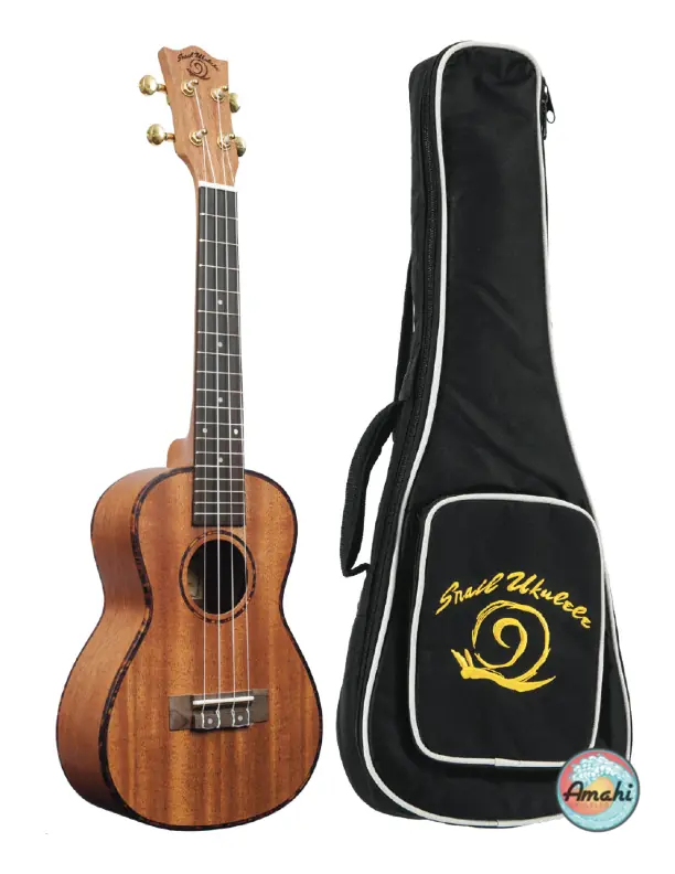 Concert `Ukulele