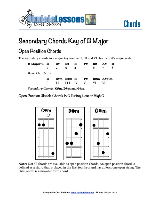 UL49b-1
