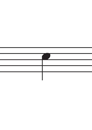 LI-4-of-4