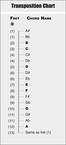 transposition chart for {{ $string_name }}