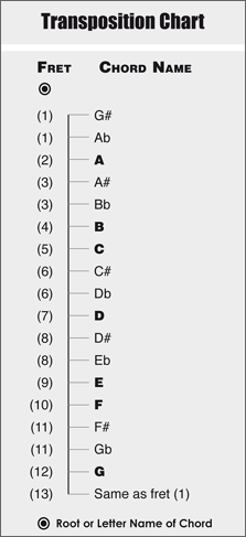 transposition chart for {{ $string_name }}
