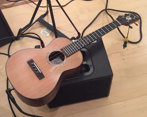 CS_Tenor