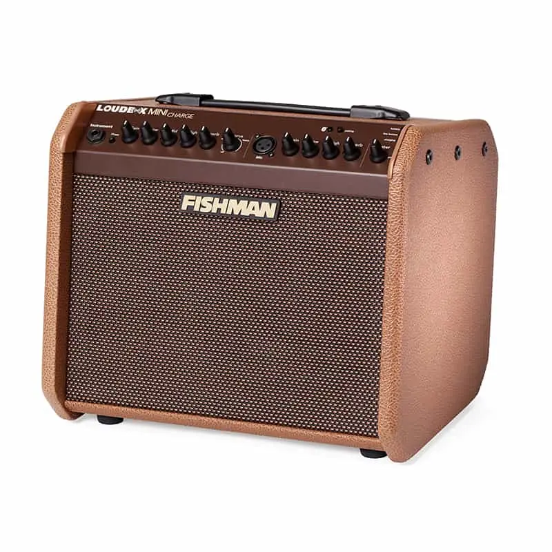 loudbox-mini-charge-acoustic-amplifier-front-angled-gal5
