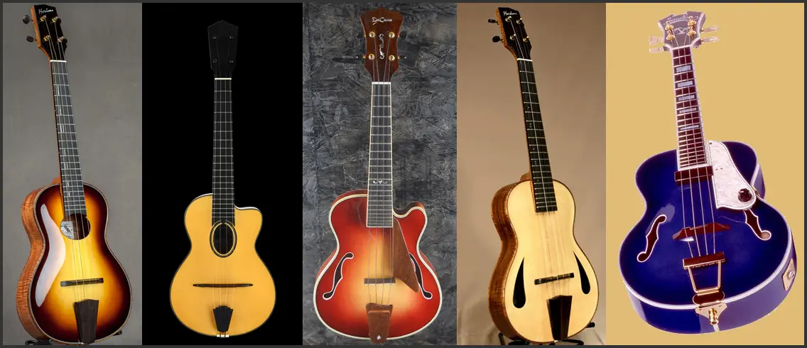 Archtop-Montage